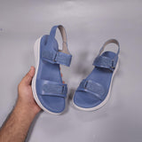 DWD-385 NAVY